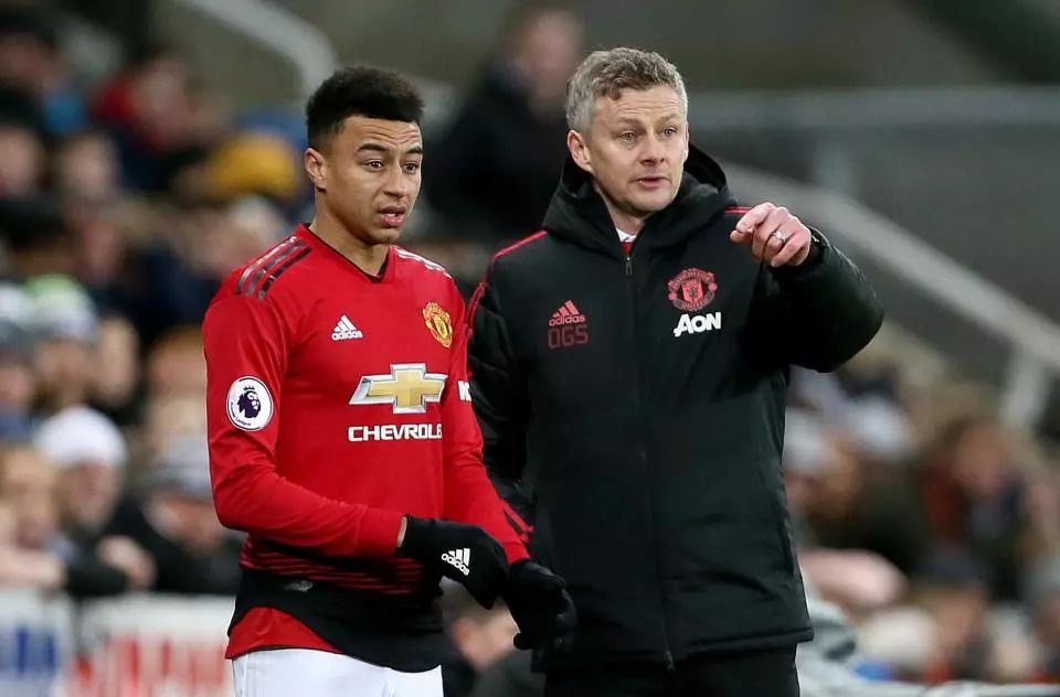 的亚冬会 的亚冬会